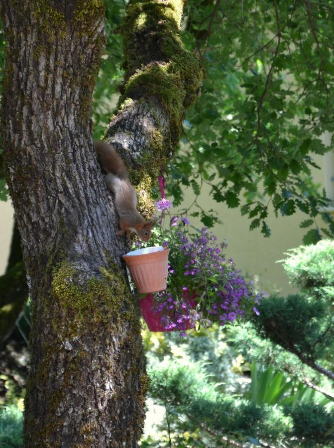Les Gites De Lescurou Limogne-en-Quercy Zewnętrze zdjęcie